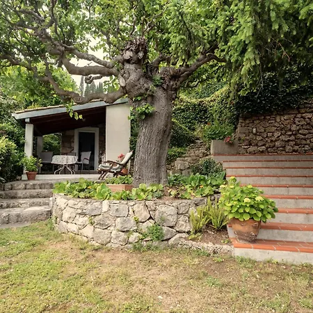Apartments Petrali Mlini Exterior photo